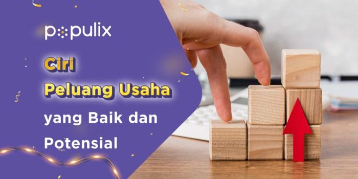 Ciri-ciri Peluang Usaha Tersembunyi: Rahasia Sukses yang Jarang Diketahui