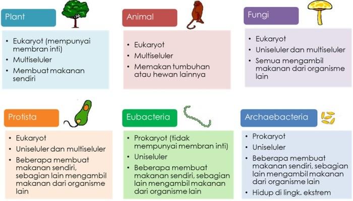 Biologi: Landasan Kehidupan dan Masyarakat Modern