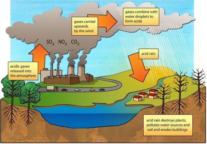 Hujan Asam: Pembentukan, Dampak, dan Penanggulangan