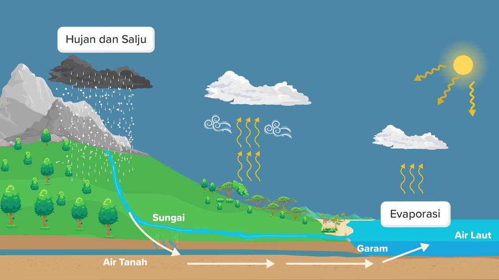 Siklus Air: Penopang Kehidupan yang Esensial