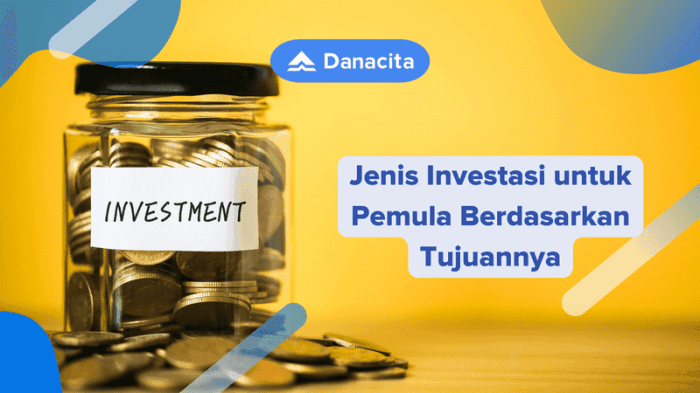 DanaCita: Jenis Investasi untuk Semua