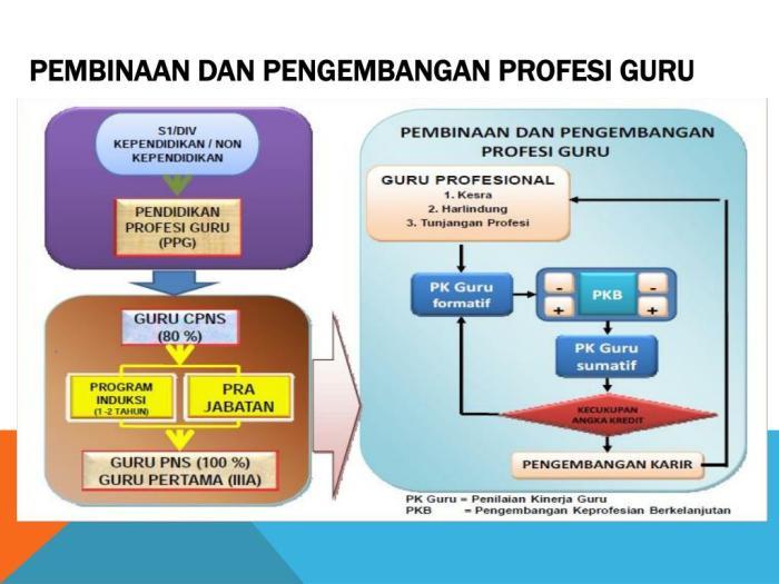 Pengaruh Kebijakan Pendidikan pada Pengembangan Guru Profesional