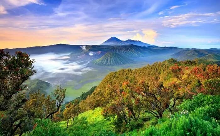 Taman Nasional Di Ujung Tenggara Pulau Jawa