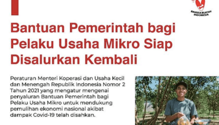 Cara Daftar BLT UMKM 2025 dan Persyaratannya