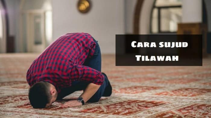 Hukum Sujud Tilawah Penjelasan, Tata Cara, dan Bacaan 3 Apa Hukum Melakukan Sujud Tilawah? Ini Penjelasan, Tata Cara, dan Bacaannya