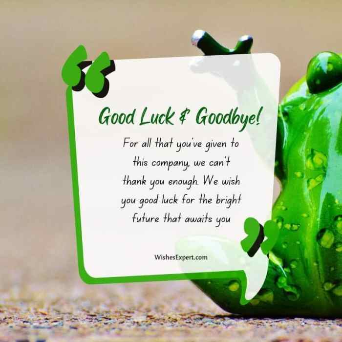 Farewell colleagues coworker colleague goodbye resignation coworkers hubpages examples mate greeting
