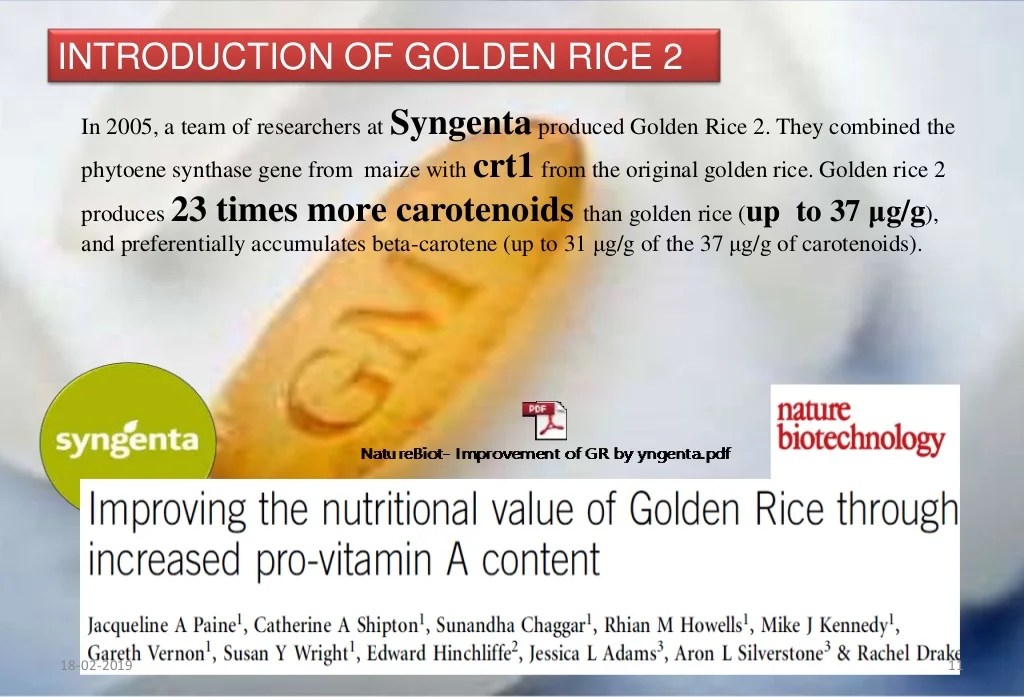 5 Keunggulan mengenai Golden Rice Kaya Vitamin A dan Kelemahannya