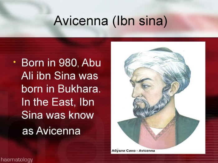 5 Penemuan Ibnu Sina yang Mengubah Dunia
