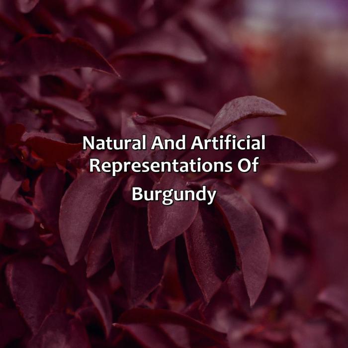 Warna Burgundy Seperti Apa? Ini Bedanya dengan Maroon 2 Warna Burgundy Seperti Apa? Ini Penjelasan dan Perbedaannya dengan Maroon