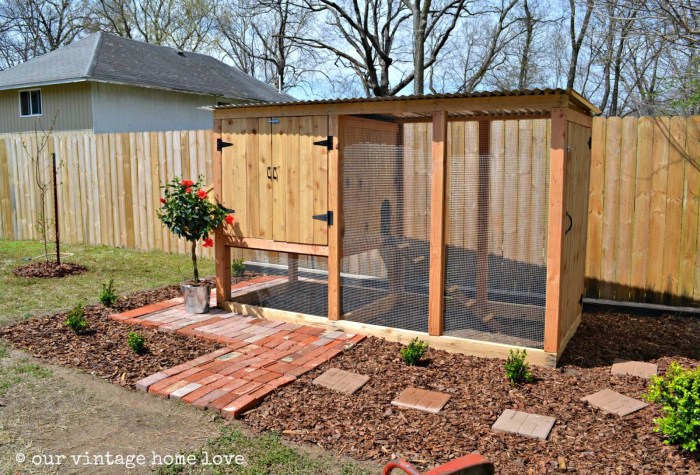 🐔 Building a Secure Chicken Coop with Ready-Made Plans: A Guide 5 Rekomendasi Kandang Ayam Kampung yang Nyaman dan Mudah Dibuat