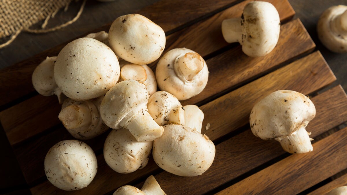 Mushrooms healthiest eat beneficial