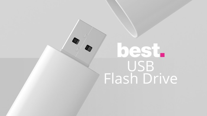 Usb flash drives linkedin tumblr reddit email google twitter facebook Usb flash drives linkedin tumblr reddit email google twitter facebook