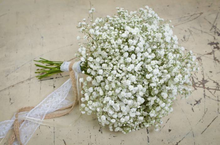 Breath gypsophila paniculata Kenapa Bunga Baby Breath Mahal? Inilah Penyebabnya