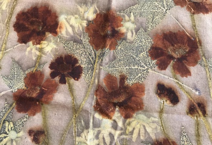 7 Jenis Bunga yang Bagus untuk Ecoprint Warna Alam 2 7 Jenis Bunga yang Bagus untuk Ecoprint