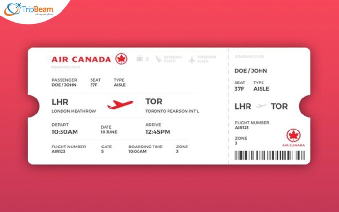 3 Cara Mengetahui Nomor Penerbangan Sebelum Boarding 2 3 Cara Mengetahui Nomor Penerbangan Pesawat, Cek Sebelum Boarding