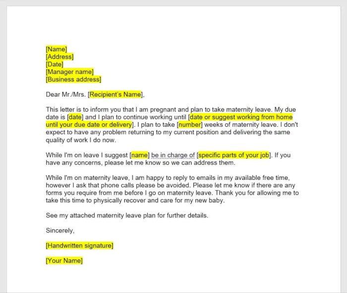 5 Contoh Surat Cuti Melahirkan dengan Format Benar 2 5 Contoh Surat Cuti Melahirkan dengan Format yang Benar untuk Kantor