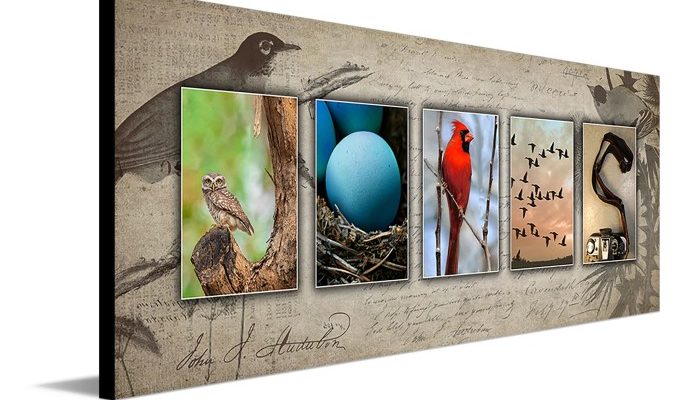 4 Rekomendasi Nama Toko Burung yang Menarik