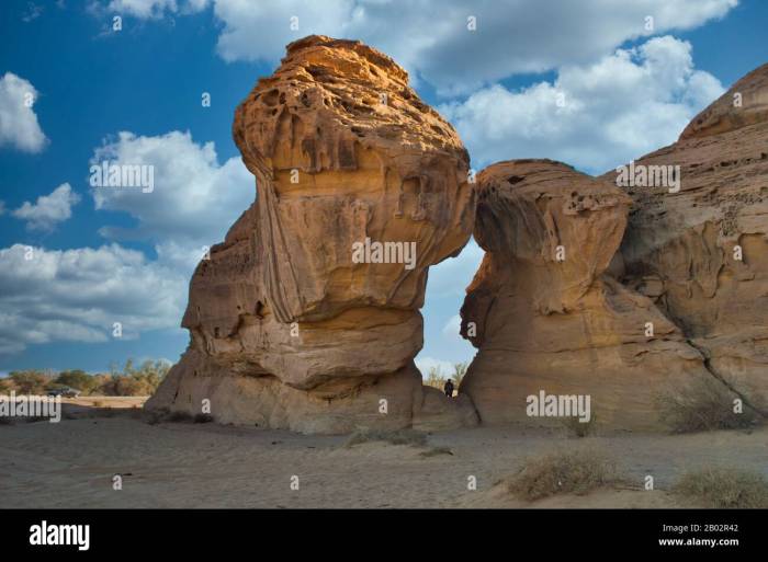 Sejarah Madain Saleh Misteri Kota Batu di Arab 2 Sejarah Madain Saleh, Kota Batu Misterius di Jazirah Arab