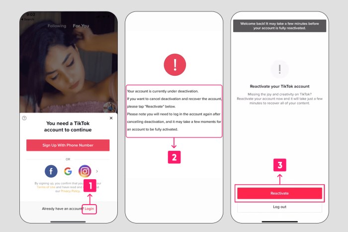 Cara Mengembalikan Akun TikTok Lupa Sandi & Nomor Mati 2 Cara Mengembalikan Akun Tiktok yang Lupa Kata Sandi dan Nomor Tidak Aktif