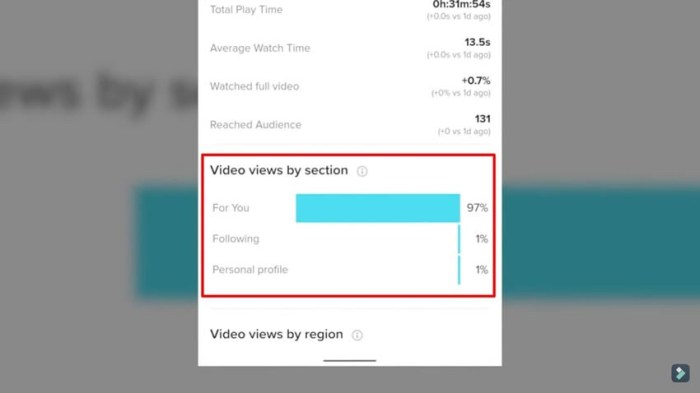 Apa Itu Br Br Patapim yang Viral di TikTok?