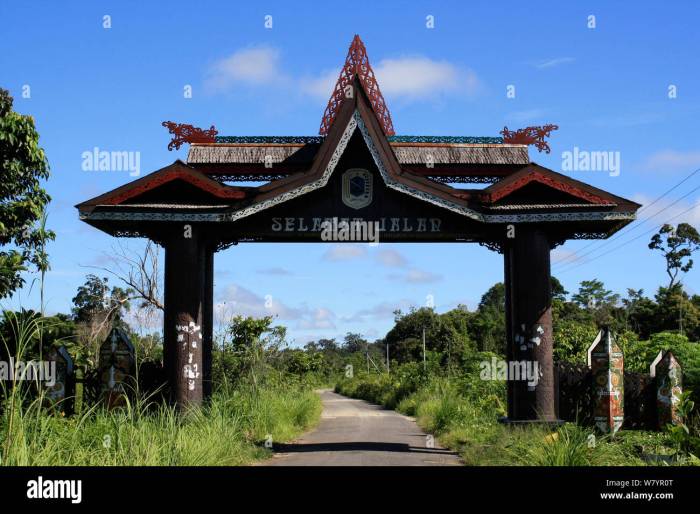 Traditional house indonesian very beautiful lamin kalimantan east 5 Rumah Adat Kalimantan Tengah dan Ciri Khasnya