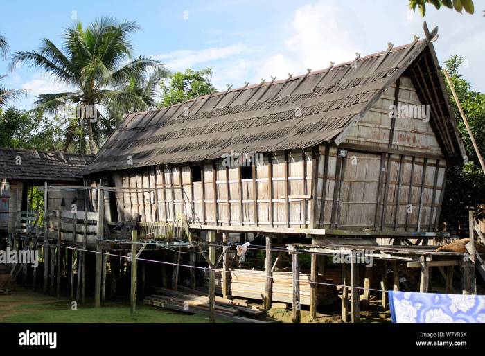 Kalimantan 5 Rumah Adat Kalimantan Tengah dan Ciri Khasnya