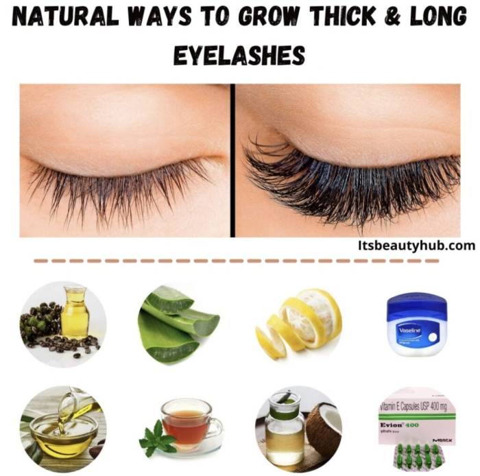 Eyelashes lashes eye yeux mata verts thick cejas maquillage mudah bulu jahit lentik panjang caranya memiliki ingin lho fall teknik 2 Cara Menebalkan Bulu Mata dan Alis dengan Bahan Alami, Lebih Ekonomis!