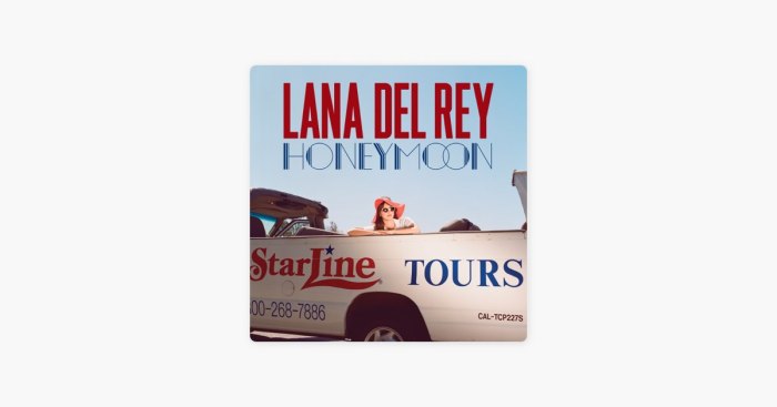 Makna Lagu Salvatore Lana Del Rey Lengkap dengan Liriknya