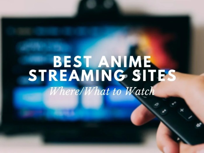 5 Situs Streaming Anime Legal untuk Menonton dengan Aman 2 5 Situs Streaming Anime Legal untuk Menonton dengan Aman