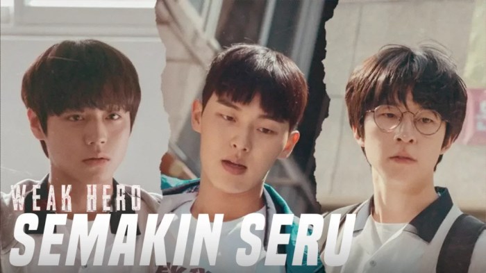Cara Streaming Weak Hero Class 2 Sub Indo Aman & Resmi 3 Cara Streaming Weak Hero Class Season 2 Sub Indo secara Aman dan Resmi