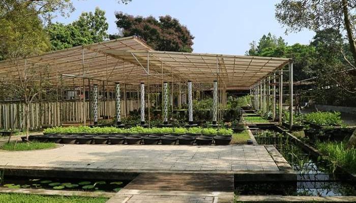 Tiket Kuntum Farmfield 2025 dan Cara Pembeliannya, Pengunjung Perlu Tahu