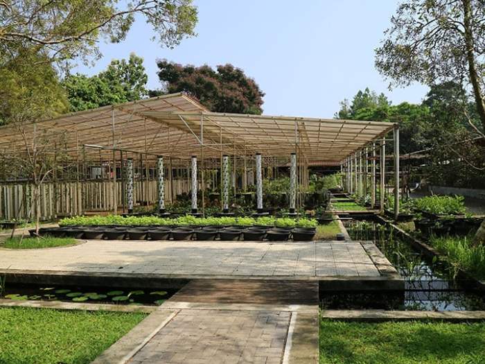 Tiket Kuntum Farmfield 2025 dan Cara Pembeliannya, Pengunjung Perlu Tahu