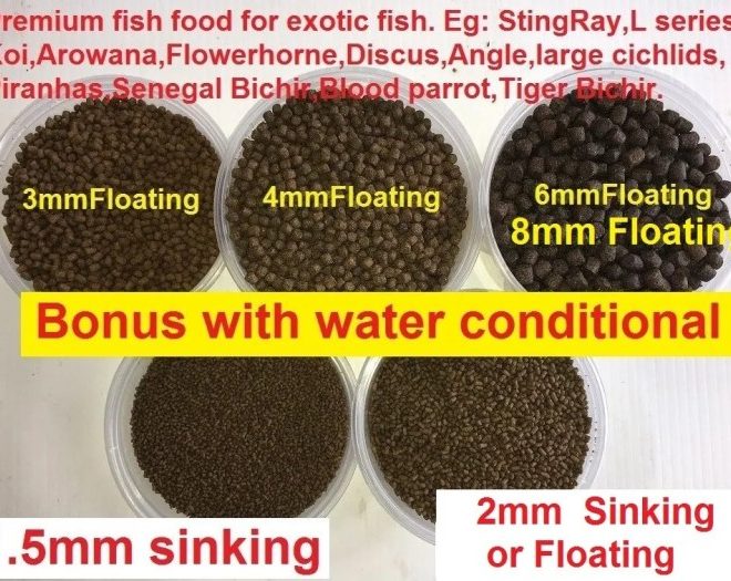 5 Penyebab Pelet Ikan Tidak Mau Mengapung yang Harus Diwaspadai