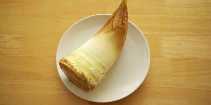 Shoots bamboo last long do tips fresh keep them Shoots bamboo last long do tips fresh keep them