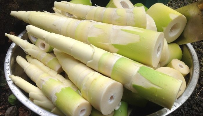 Bamboo shoots fresh prepare food
