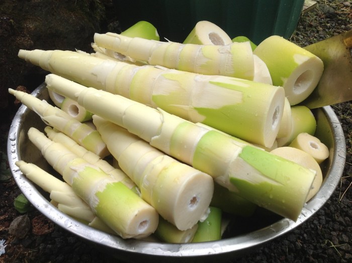 Bamboo shoots fresh prepare food Bamboo shoots fresh prepare food