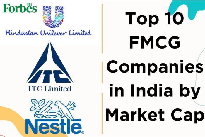 Daftar Perusahaan Manufaktur FMCG di Indonesia 2 Daftar Perusahaan Manufaktur FMCG di Indonesia