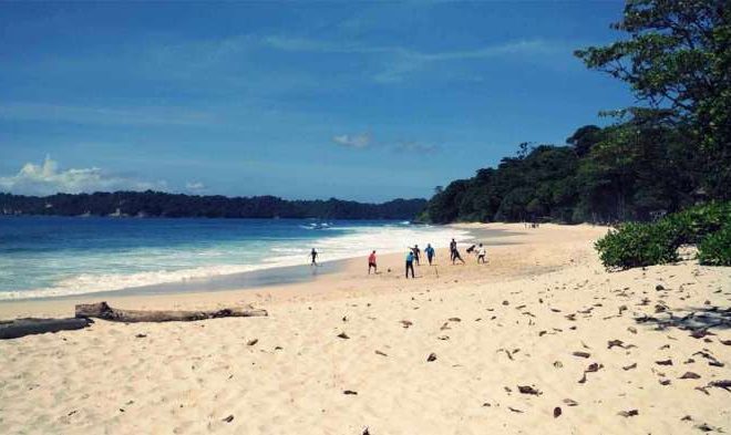 Pantai Sendiki Malang: Jam Buka, HTM, Daya Tarik, dan Aktivitasnya