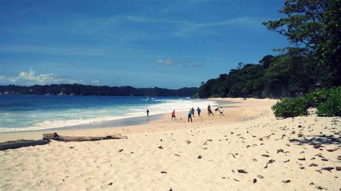 Pantai malang tiketnya harga lokasi rute wisata Pantai Sendiki Malang: Jam Buka, HTM, Daya Tarik, dan Aktivitasnya