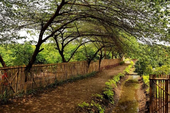 Prambon alas itrip wisata Wisata Alas Prambon Sidoarjo, Cocok untuk Outbound Anak-Anak