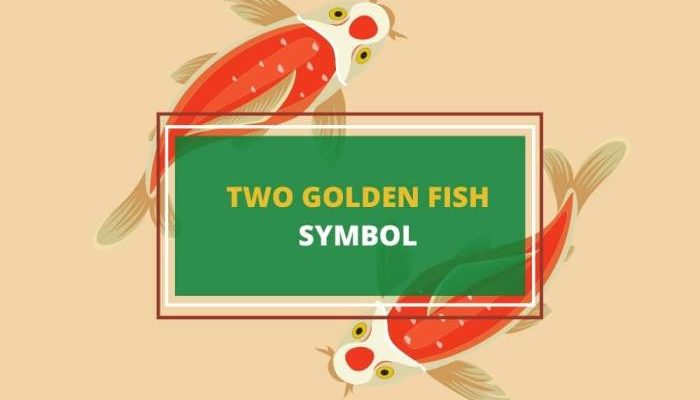 Filosofi Ikan Mas sebagai Simbol Keberuntungan dan Harapan