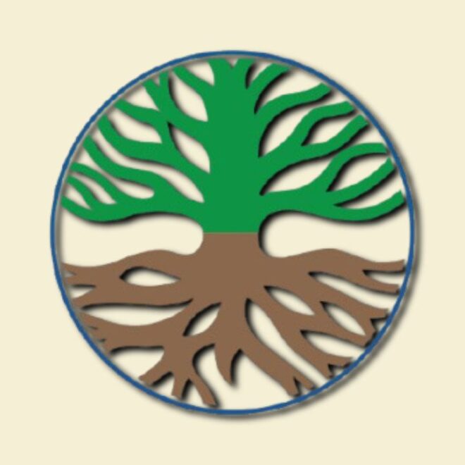 Mengenal DLH Ambon: Tugas, Fungsi, dan Layanan untuk Kota yang Lebih Hijau